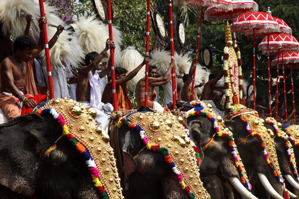 Men riding elephants decorated with gold plated caparisons, at the annual Thrissur Pooram Festival.