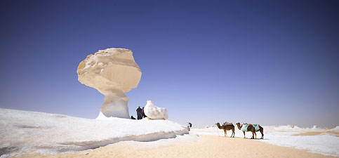 Grands blocs de calcaire blanc sur le plateau libyque