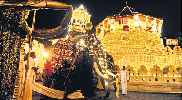 Kandy-festival-un-éléphant-décoré-avec-des-guirlandes-lumineuses
