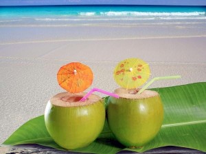 Maldives_Kurumba---coconut_45878DEA