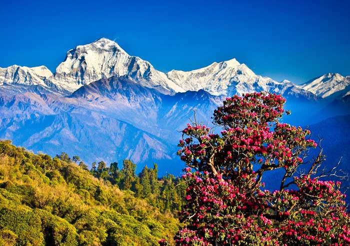Nepal_Beautiful-Nepal