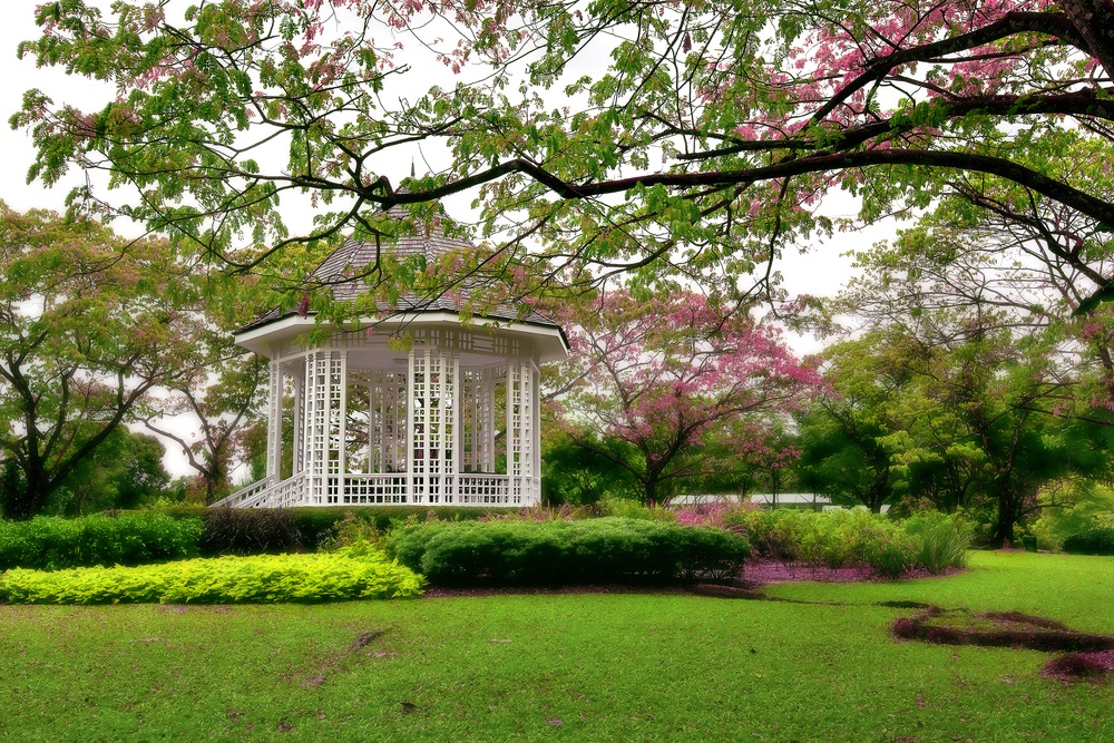 Singapore-Botanic-Gardens