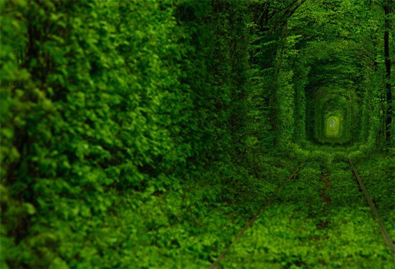 Tunnel de l'Amour 