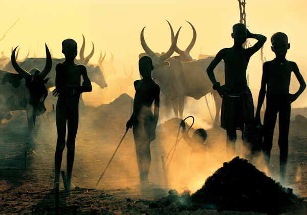 At an early age young Dinka boys and girls tend the herds and perform menial tasks around the camp.their duties start early morning and end when the sun goes down