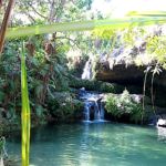 La piscine naturelle (Parc National de l'Isalo)