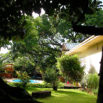 Piscine et jardin