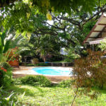 Piscine et jardin