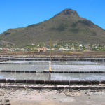 Salins de Tamarin