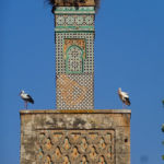 Nid de cigognes sur le minaret de la mosquée
