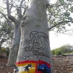 Baobab support artistique
