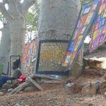 L'artiste en milieu baobab