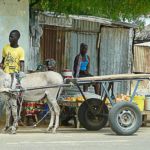 Moyen de transport pour les-petits commerçants des rues