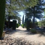 Un cimetière joliment agrémenté de cyprès