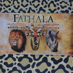 Découvrir Fathala