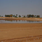 Le delta de Saloum, réserve ornithologue