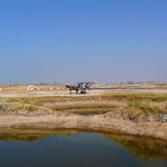 Le delta du Saloum, joyau du Sénégal, classé par l'Unesco