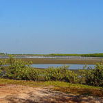 Le delta du Saloum est une des plus grandes régions de mangrove en Afrique