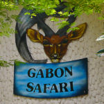 Gabon Safari, tout simplement !