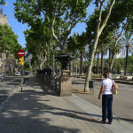 Magnifique parc allée en centre ville de Barcelone
