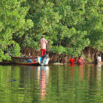 Pêche en mangrove dans le Parc national du Delta du Saloum