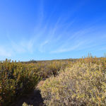 Puerto Madryn -pureté du ciel et du climat